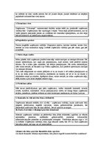 Paraugs 'Biznesa ideja', 2.