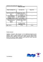 Paraugs 'Biznesa ideja', 3.