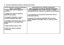 Prakses atskaite 'Medikamentozās aprūpes plāns', 4.