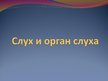 Prezentācija 'Слух и орган слуха', 1.
