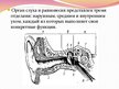 Prezentācija 'Слух и орган слуха', 5.