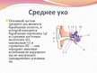 Prezentācija 'Слух и орган слуха', 7.
