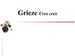 Prezentācija 'Grieze', 1.