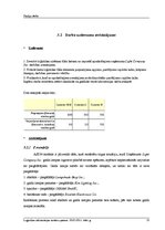 Referāts 'Studiju darbs loģistikā', 32.