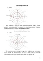 Paraugs 'Mācīšanās stili', 5.