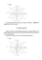 Paraugs 'Mācīšanās stili', 7.