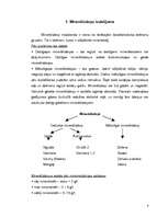 Referāts 'Minerālūdeņu raksturojums', 4.