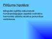 Prezentācija 'Bilingvālā izglītība sākumskolā humānpedagoģijas aspektā', 4.