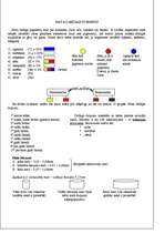 Konspekts 'Matu krāsas teorija', 2.