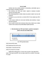 Paraugs 'MPLS TE savienojumu vadība', 6.