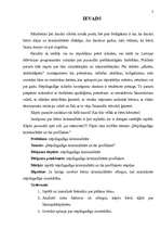 Referāts 'Nepilngadīgo kriminalitāte un tās profilakse', 3.