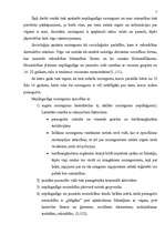 Referāts 'Nepilngadīgo kriminalitāte un tās profilakse', 7.