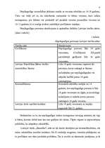 Referāts 'Nepilngadīgo kriminalitāte un tās profilakse', 9.