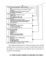 Referāts 'Nepilngadīgo kriminalitāte un tās profilakse', 15.