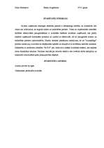 Referāts 'SIA "Rods"', 3.