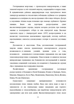 Referāts 'Альтернативные источники электроэнергии', 11.