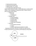 Referāts 'Atkarības jēdziens, tā raksturojums', 4.