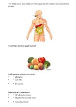 Konspekts 'Gremošana', 3.