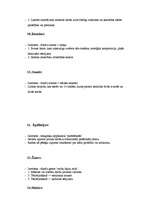 Konspekts 'Literatūras terminu vārdnīca', 4.