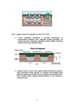 Referāts 'Autonoma iekārta augsnes attīrīšanai no notekūdeņiem', 4.