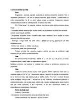 Referāts 'Mārketinga plāns SIA "Codes betons"', 16.