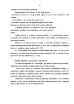 Referāts 'Mārketinga plāns SIA "Codes betons"', 17.