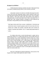 Referāts 'Pensiju fondu darbības analīze Latvijā', 28.