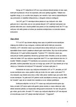 Referāts 'Televīzijas kanālu LNT un TV3 vakara ziņu raidījumu salīdzinājums', 6.