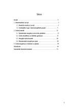 Diplomdarbs 'Darbs ārzemēs', 2.