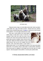 Konspekts 'Ainavu izmaiņas cilvēka darbības ietekmē', 4.