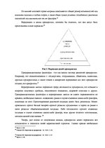 Diplomdarbs 'Программа маркетинга', 9.