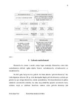 Referāts 'Ekonomikas teorija kā zinātne', 8.