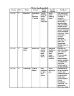 Prakses atskaite 'Vēroto stundu apraksti', 1.