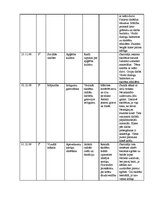 Prakses atskaite 'Vēroto stundu apraksti', 2.