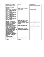 Prakses atskaite 'Vēroto stundu apraksti', 8.