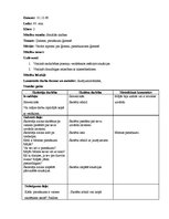 Prakses atskaite 'Vēroto stundu apraksti', 9.