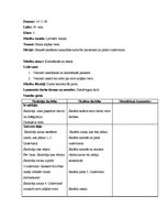 Prakses atskaite 'Vēroto stundu apraksti', 13.