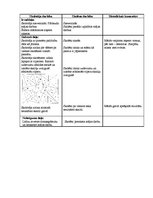 Prakses atskaite 'Vēroto stundu apraksti', 21.