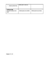 Prakses atskaite 'Vēroto stundu apraksti', 29.