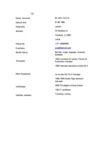 Paraugs 'CV in English ', 1.