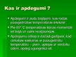Prezentācija 'Apdegumi', 2.