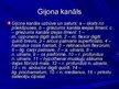 Referāts 'Karpālā kanāla sindroms', 14.