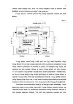 Referāts 'Līzinga darījumu uzskaite', 5.