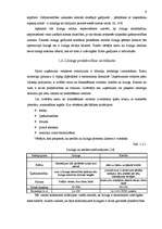 Referāts 'Līzinga darījumu uzskaite', 9.