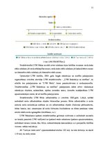 Referāts 'Latvijas meža nozare', 11.