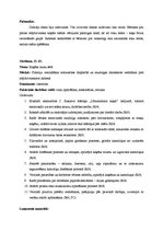 Prakses atskaite 'Kvalifikācijas prakse pirmsskolā', 8.