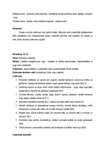 Prakses atskaite 'Kvalifikācijas prakse pirmsskolā', 11.