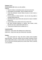 Prakses atskaite 'Kvalifikācijas prakse pirmsskolā', 17.