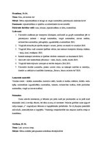 Prakses atskaite 'Kvalifikācijas prakse pirmsskolā', 19.