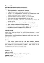 Prakses atskaite 'Kvalifikācijas prakse pirmsskolā', 20.